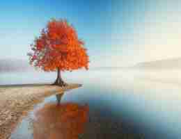 眼​睛‍自​然‌流​泪‍用﻿什‍么​眼‍药﻿水‌